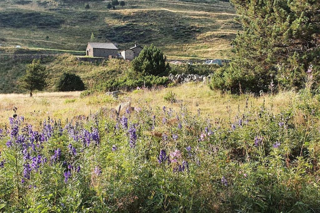 Acollidor Estudi Amb Encant Nordic I Amb Parquing, Al Costat De Grandvalira Apartamento Canillo